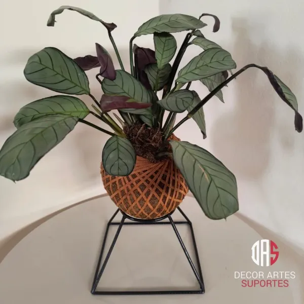 Suporte semi pirâmide para kokedama 