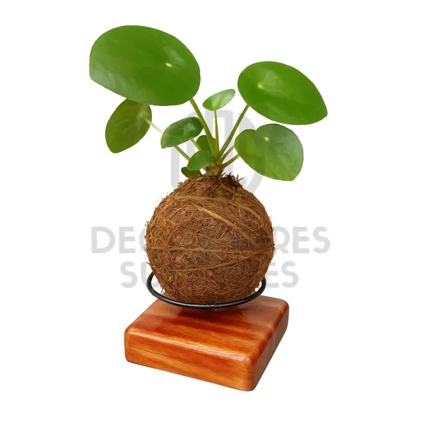 Suporte p/ kokedama com base de madeira 