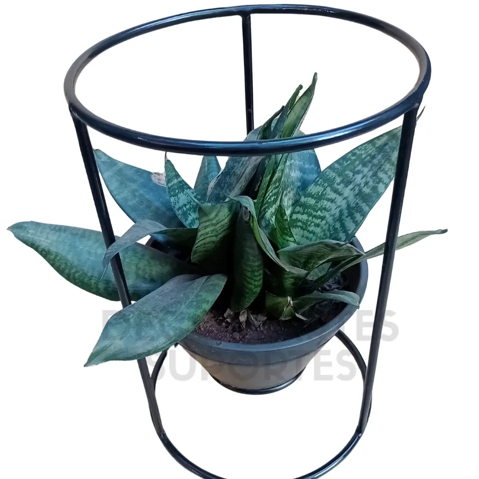 Suporte redondo p/ kokedama (A.30 cm) - 4