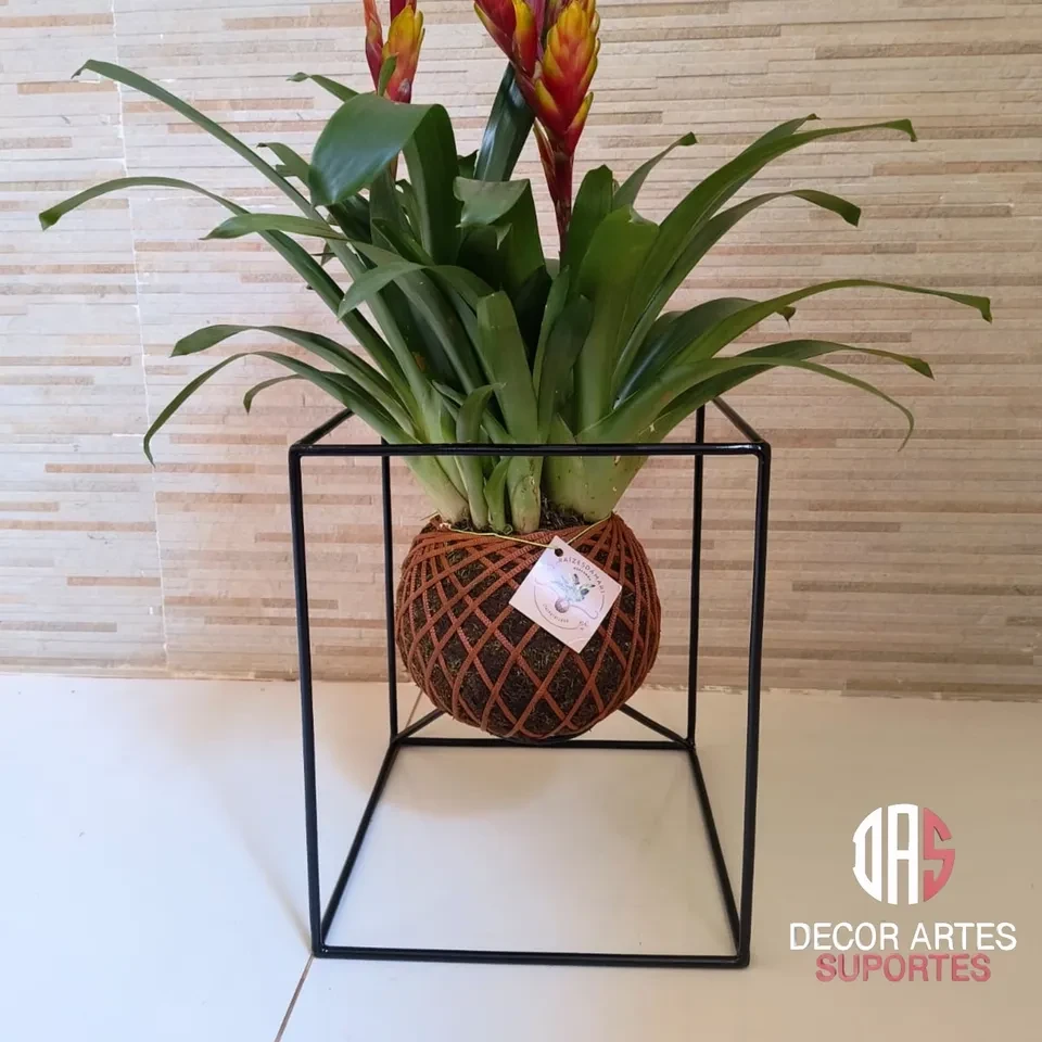 Suporte retangular para kokedama  - 1
