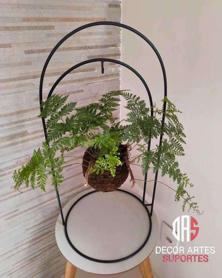 Suporte elegante para kokedama  - 1