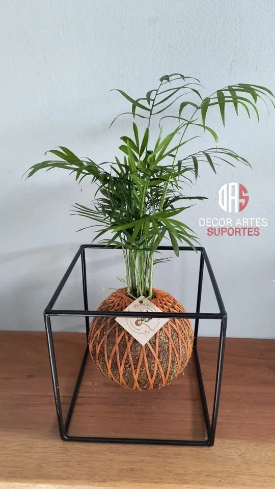 Suporte quadrado para kokedama - 2