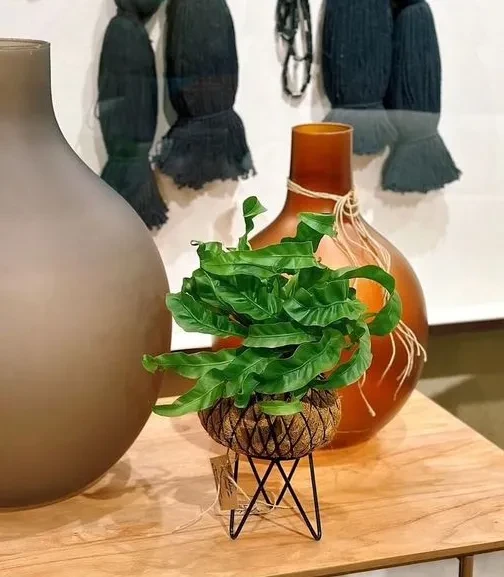Mini tripé para kokedama  - 1