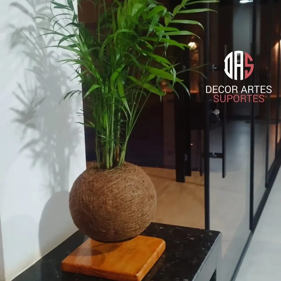Suporte p/ kokedama com base de madeira . - 1