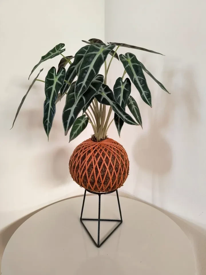 Suporte com base triangular para kokedama  - 1