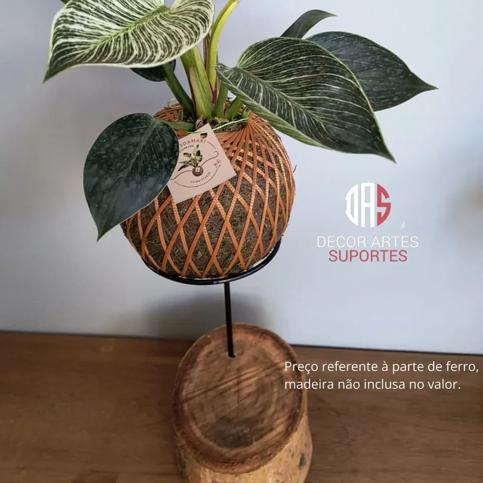 Suporte de encaixa na madeira p/ kokedama. - 1