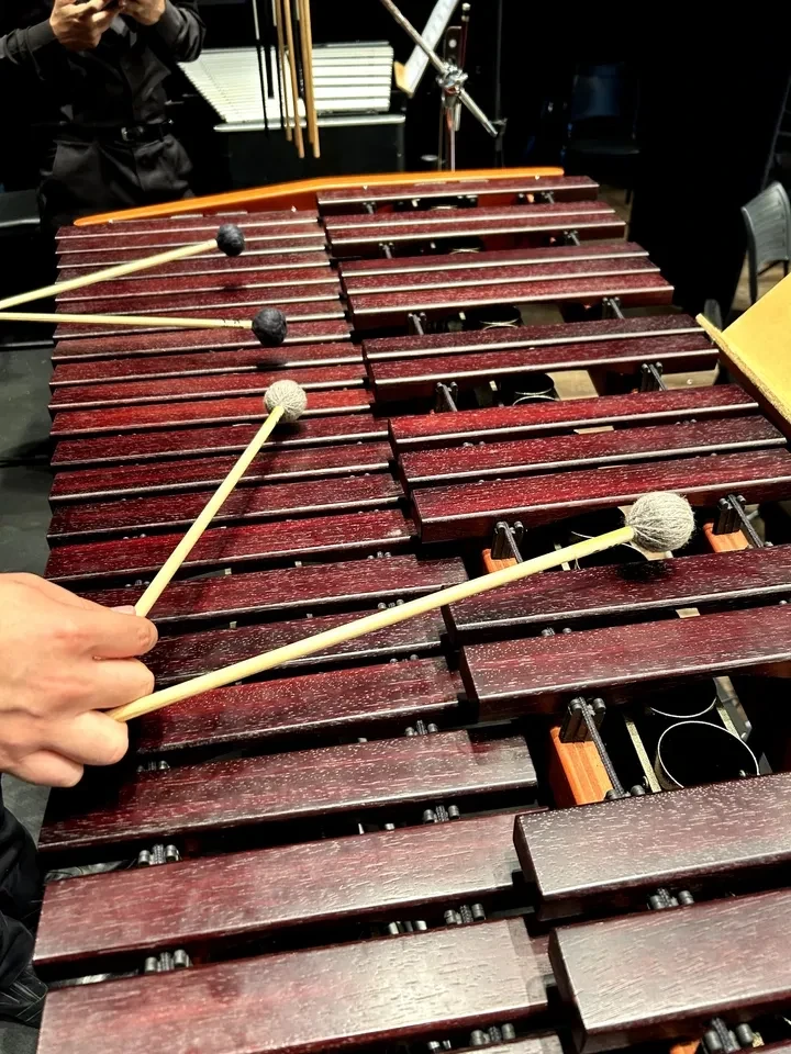 Baqueta para Marimba - Concerto - 4